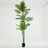 Online Flamant Arecapalm, Plant