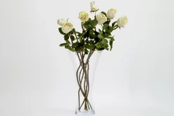 Outlet Flamant Belluno, Vaas, Glas, L