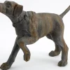 Best Flamant Blakeley, Hond