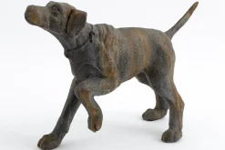 Best Flamant Blakeley, Hond