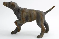 Best Flamant Blakeley, Hond