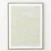 Flamant Capucine, Kunst Aan De Muur