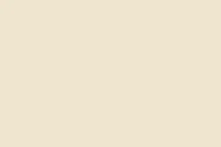 Online Flamant Coquille
