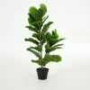 Outlet Flamant Fiddle Leaf-Vijg, Plant