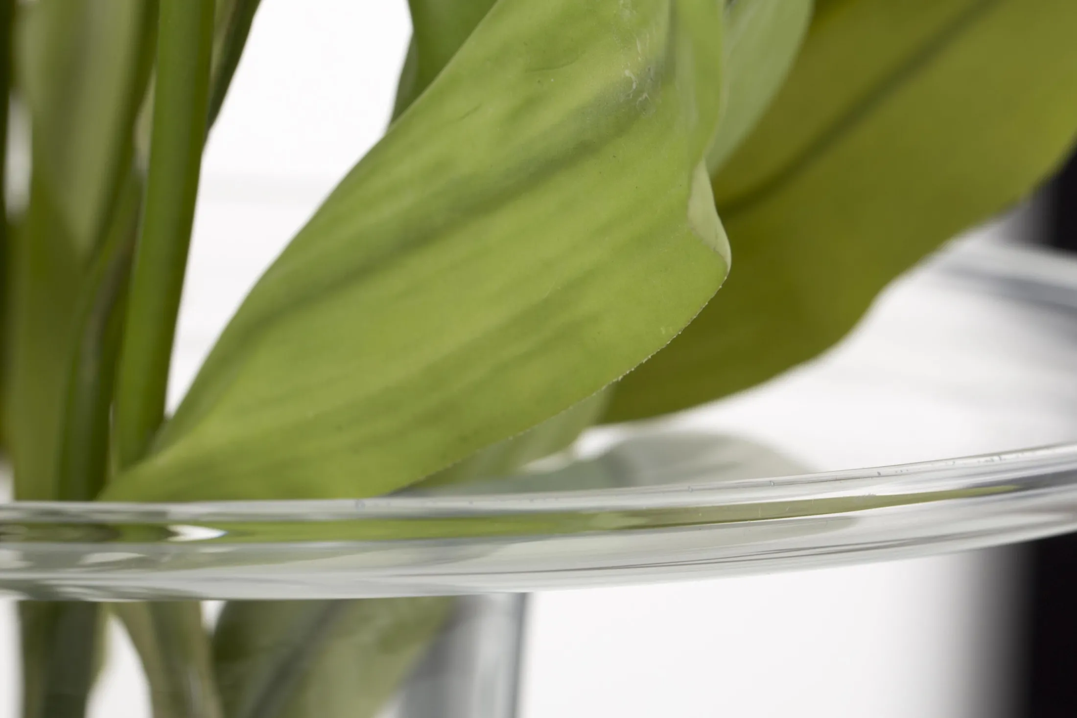 New Flamant Krater, Vaas, Glas