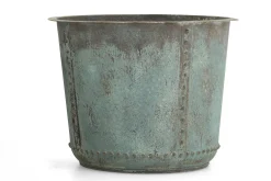 Flamant Manoli, Planter, L