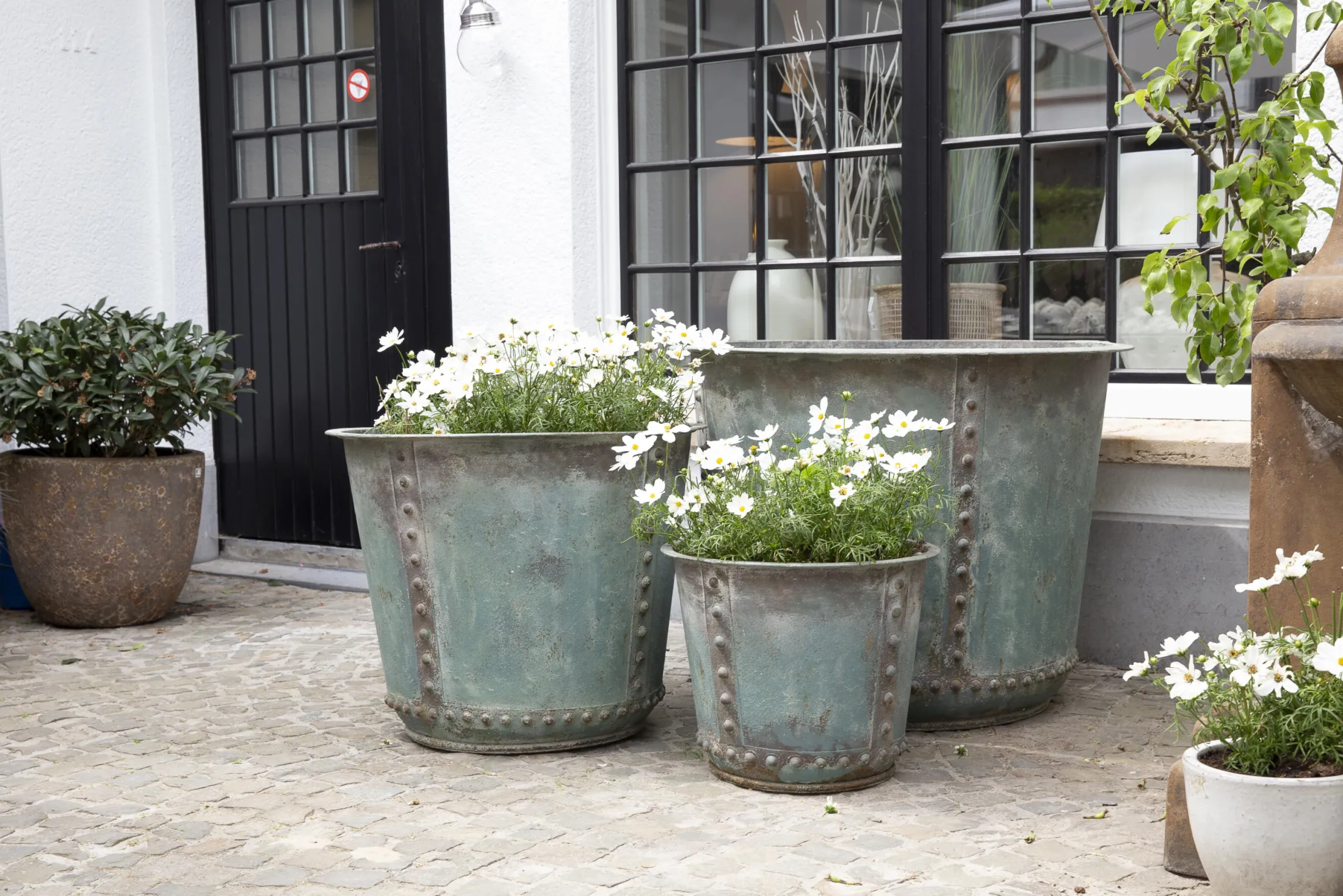 Discount Flamant Manoli, Planter, M