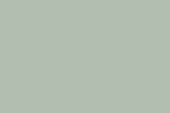 New Flamant Marais