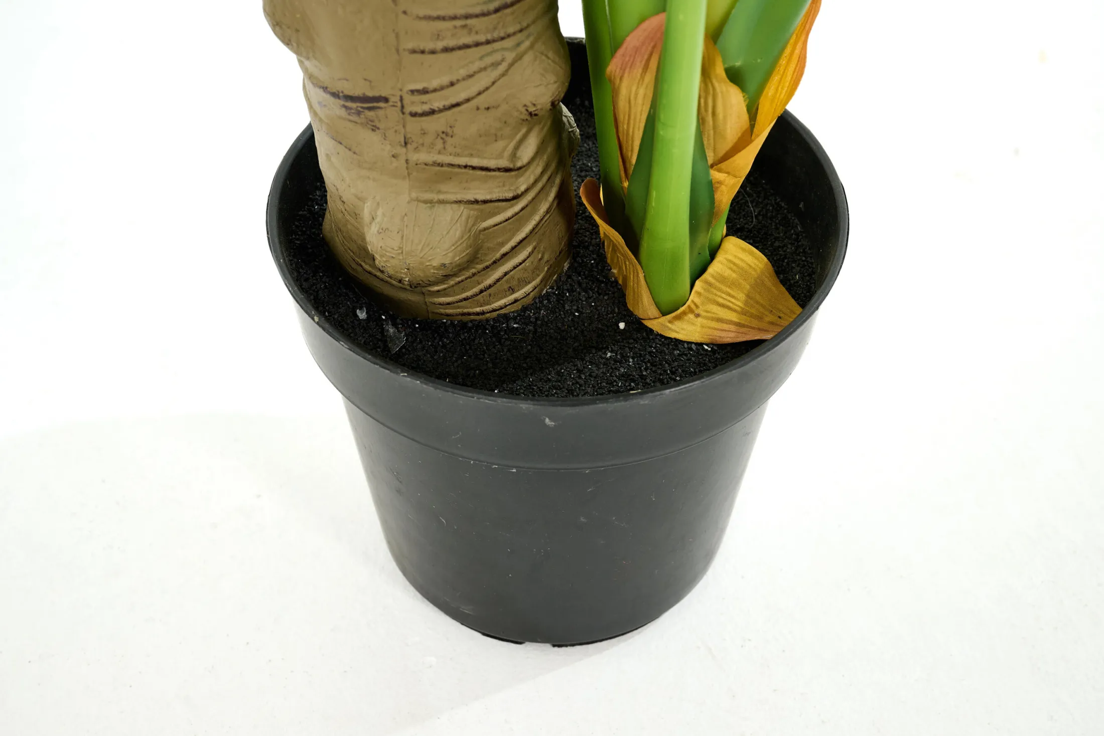 Best Flamant Monsteraplant, Plant