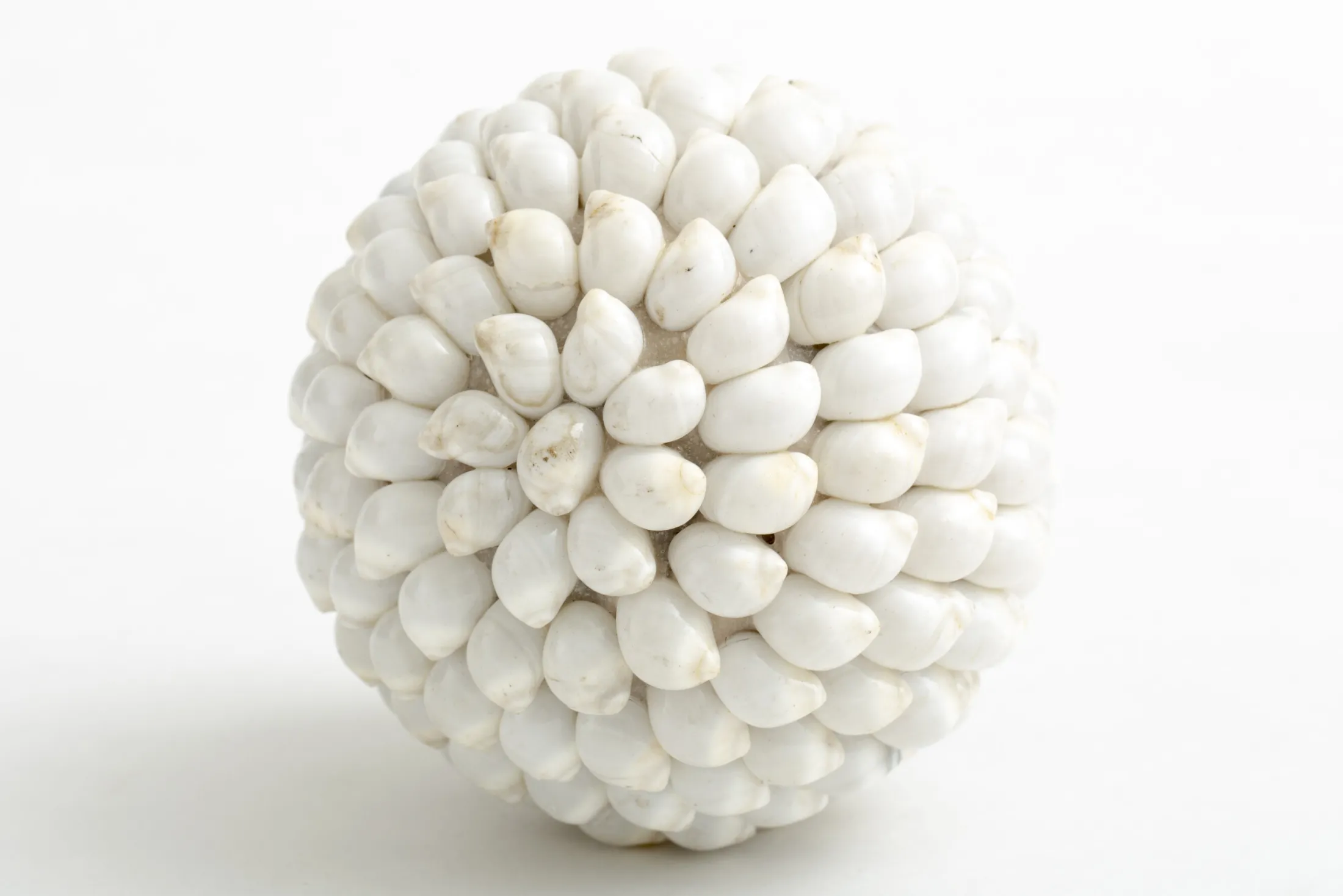 Flamant Nalani, Decobal, M