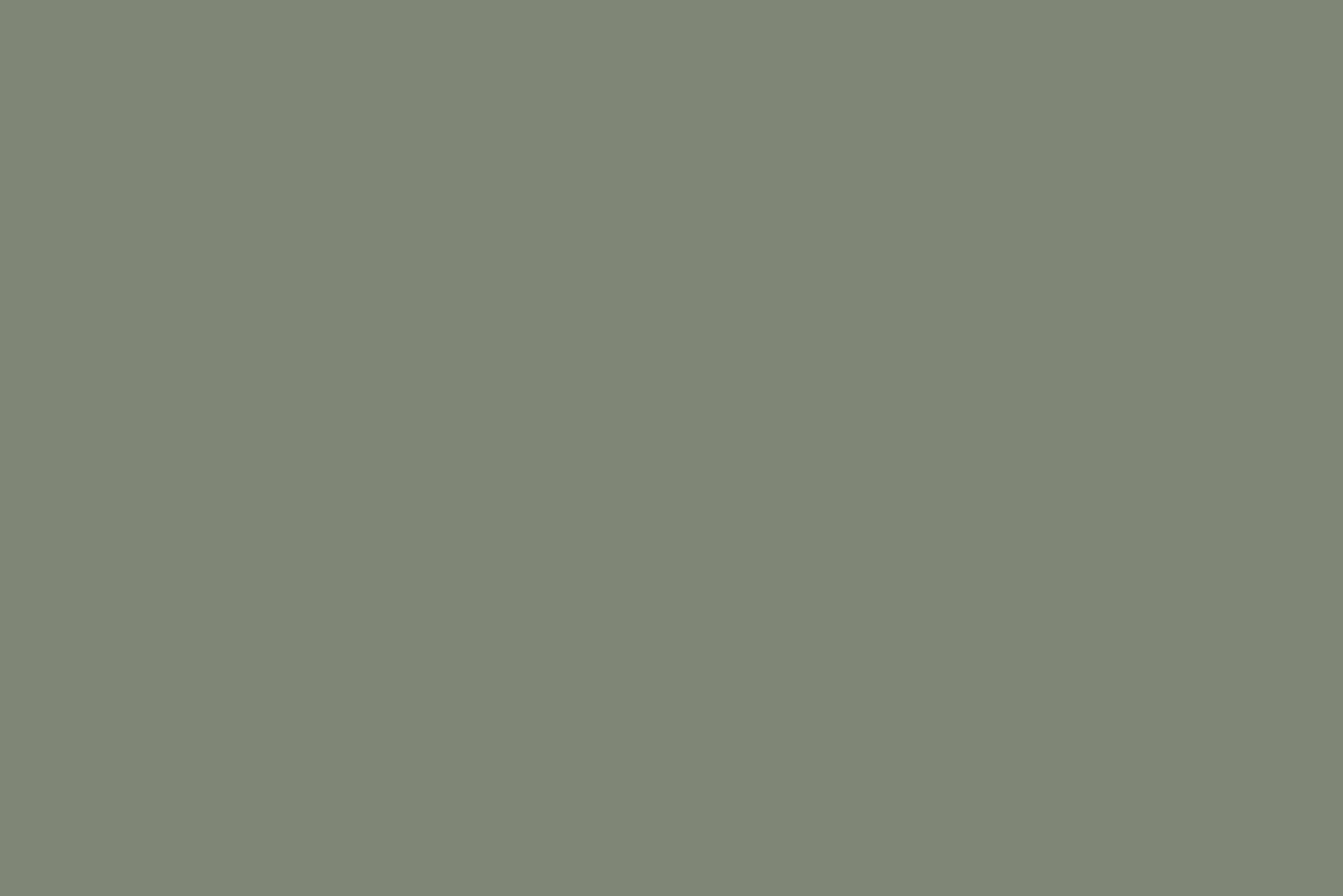 Best Flamant Vert De Gris